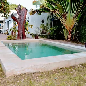 https://oyo-casa-xtabentun.hotelsmerida.org